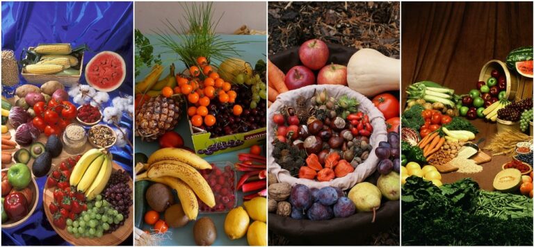 Rückblick – Vortrag Ernährung im Alter