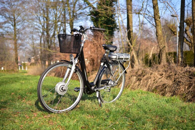 Pedelec-Einsteigerkurs in Aulendorf – Sicher unterwegs mit dem E-Bike