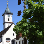 Vortrag: Stadtklima in Aulendorf