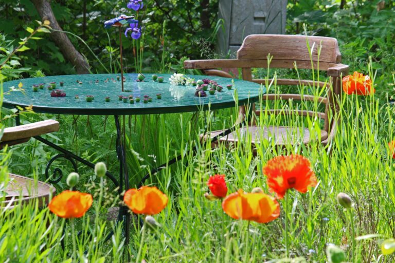 Sommer, Sonne, Schattenplatz: Fit und erfrischt durch die Hundstage